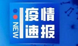 吉林最新爆料新闻,揭秘XX事件背后真相