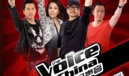 好声音国外爆料视频完整版,全球选手巅峰对决，精彩瞬间回顾