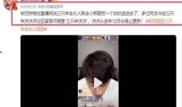 小杨仔朋友爆料视频大全,揭秘幕后真相
